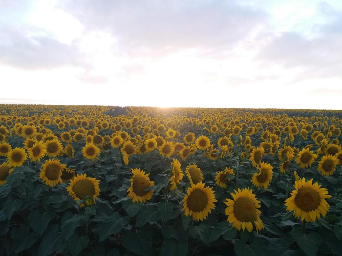 La Pommeraie Nantillé Buitenkant foto